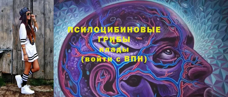 Галлюциногенные грибы Magic Shrooms  Верхняя Тура 