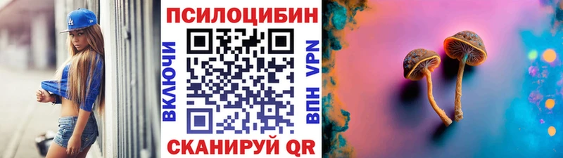 Псилоцибиновые грибы Cubensis  Верхняя Тура 